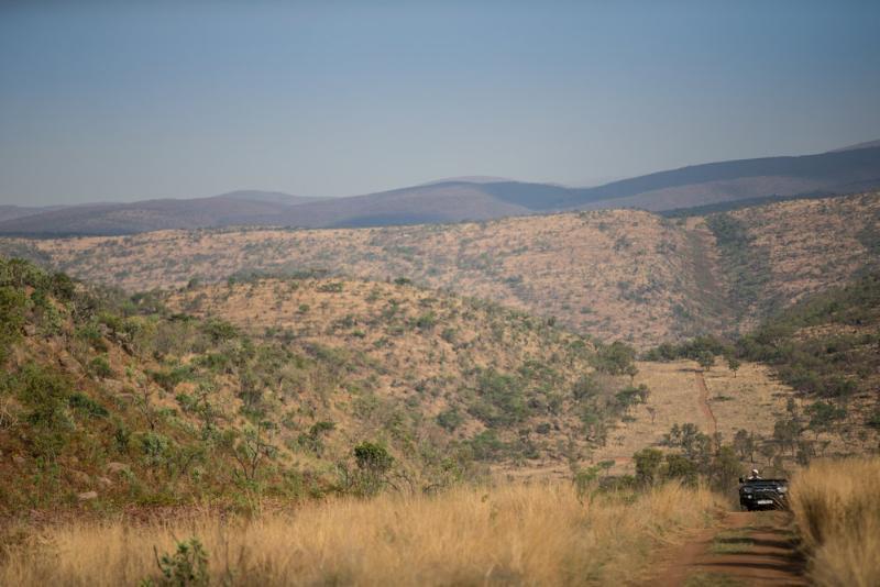 Tshwene Lodge Vaalwater Esterno foto