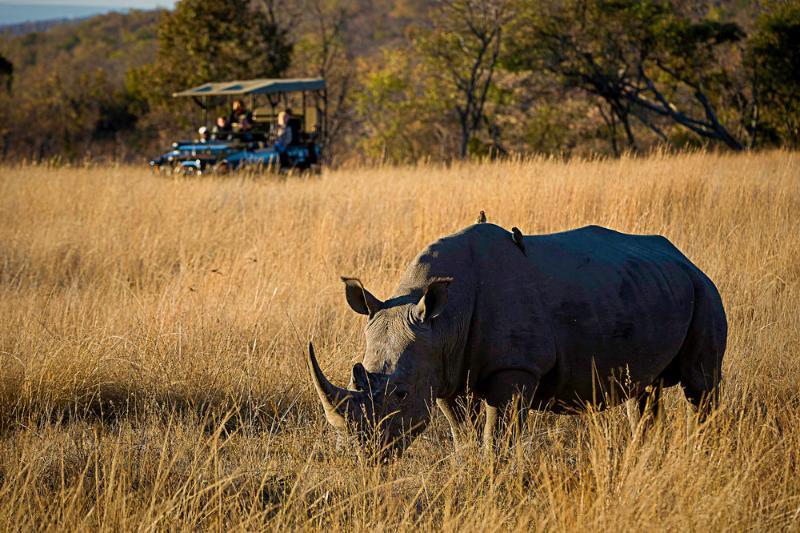 Tshwene Lodge Vaalwater Esterno foto
