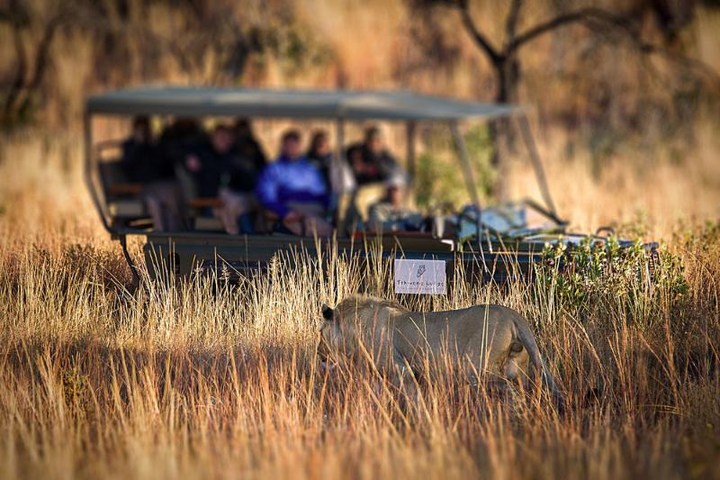 Tshwene Lodge Vaalwater Esterno foto
